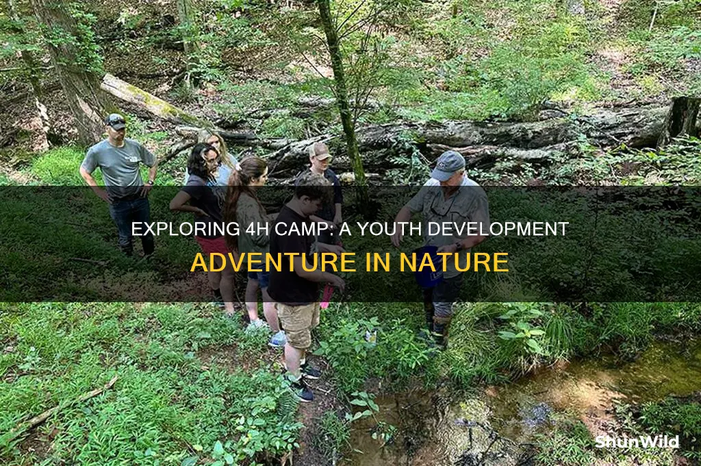 what is 4h camp