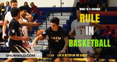 The 5-Second Rule: Basketball's Quick Reset Law