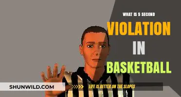 Understanding the 5-Second Violation Rule in Basketball Games