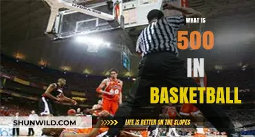 Understanding the 500 Basketball Violation: Rules, Penalties, and Impact