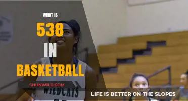 Understanding the Significance of 538 in Basketball Analytics and Strategy