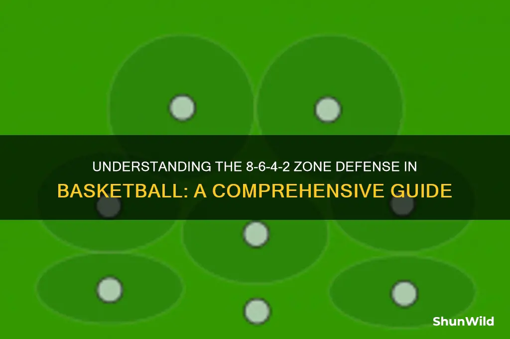 what is 8 6 4 2 basketball