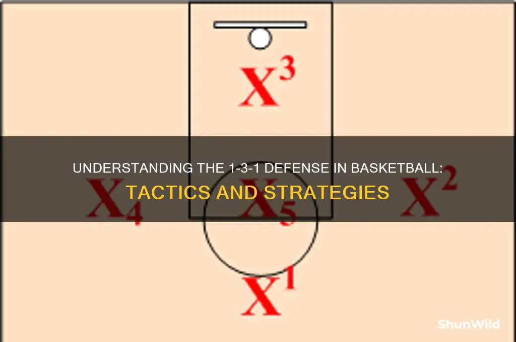 what is a 1 3 1 in basketball