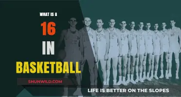 Understanding the 16-Second Violation in Basketball: Rules and Impact