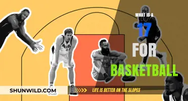 Understanding the 17-Second Violation in Basketball: Rules and Impact
