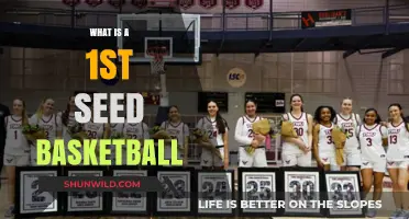 Understanding the Role and Impact of a 1st Seed in Basketball