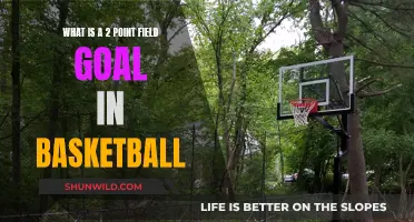 Understanding Basketball: 2-Point Field Goals Explained