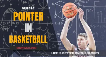 Unraveling the Mystery: What Exactly is a 2-Pointer in Basketball?