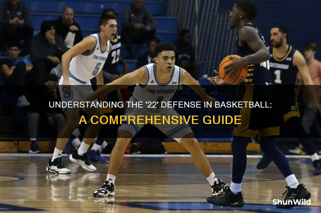 what is a 22 in basketball jargon