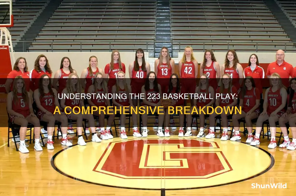 what is a 223 in basketball