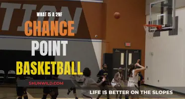 Understanding Basketball: Second-Chance Points and Their Impact