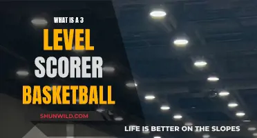 Understanding the 3-Level Scorer in Basketball