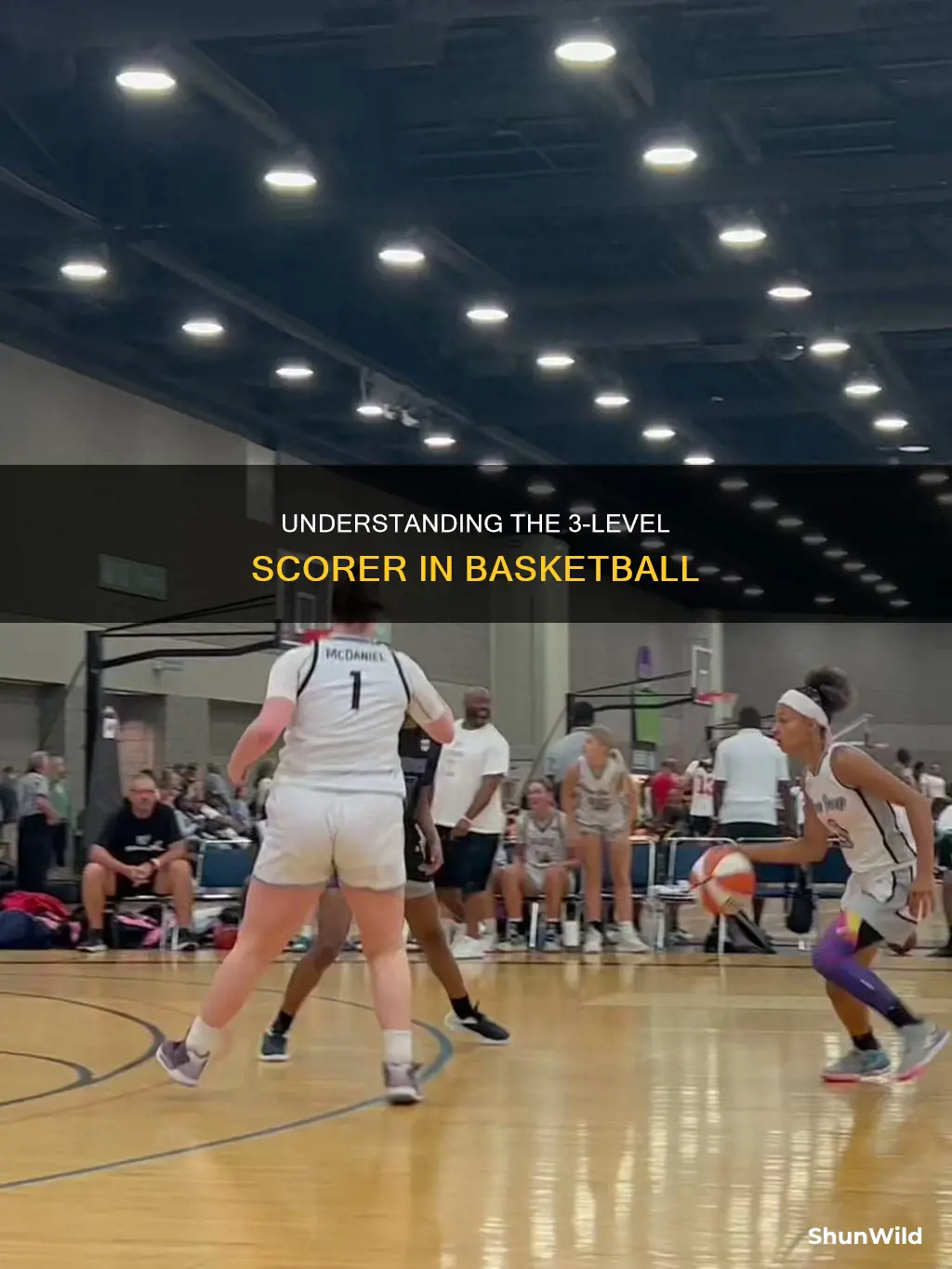 what is a 3 level scorer basketball