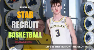 Understanding the Role and Impact of a 3-Star Basketball Recruit
