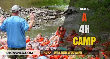Exploring 4H Camp: Fun, Learning, and Growth for Youth