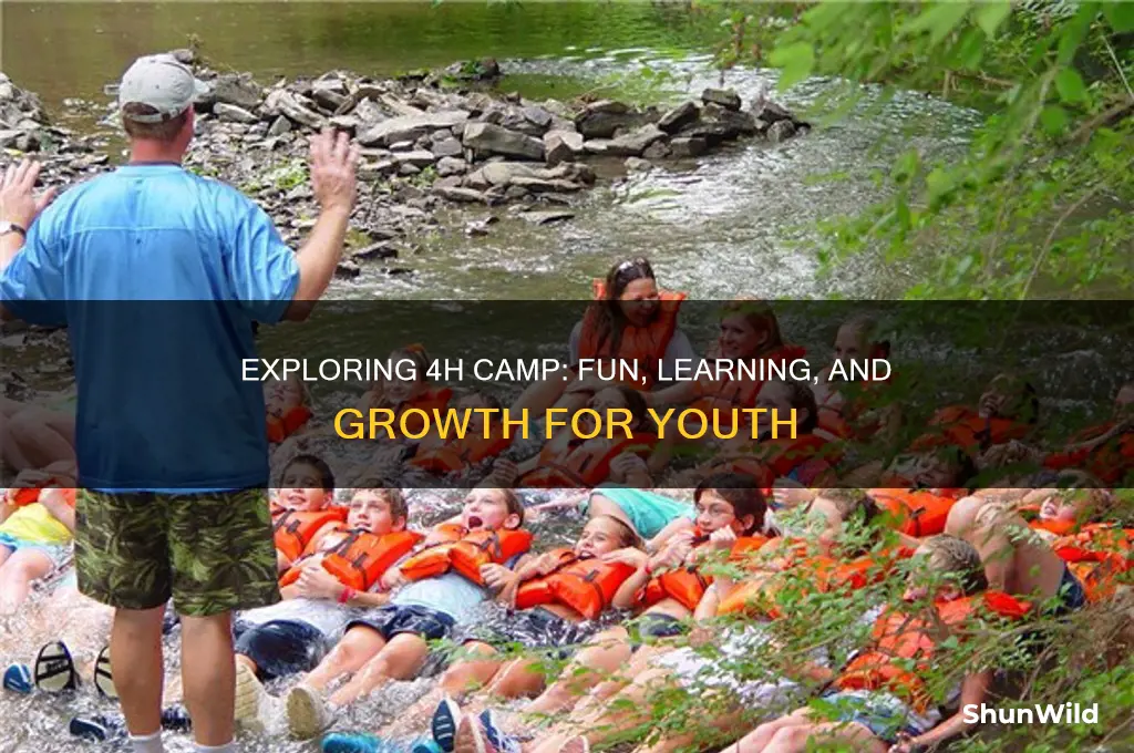 what is a 4h camp