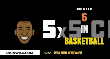 Understanding the 5x5 Basketball Stat Line: A Comprehensive Guide