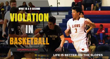 Understanding Basketball's 5-Second Violation Rule