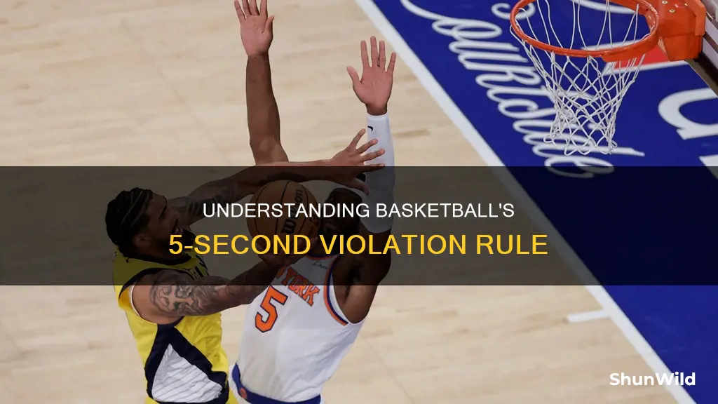 what is a 5 second violation in basketball