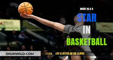 Understanding the 5-Star Rating System in Basketball Recruiting