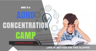 Understanding ADHD Concentration Challenges: Myths, Realities, and Support Strategies