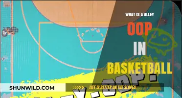 Mastering the Alley-Oop: A High-Flying Basketball Play Explained