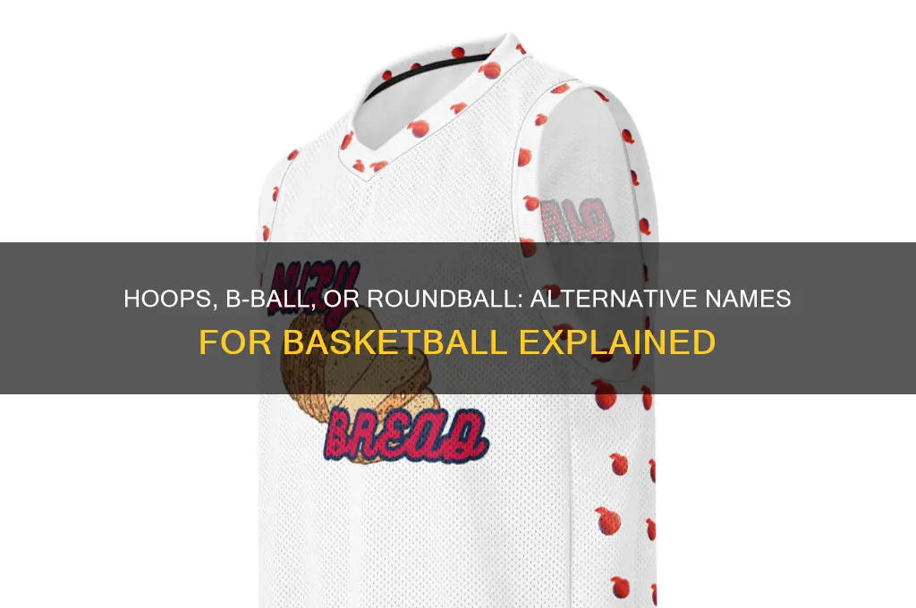 what is a another name for basketball