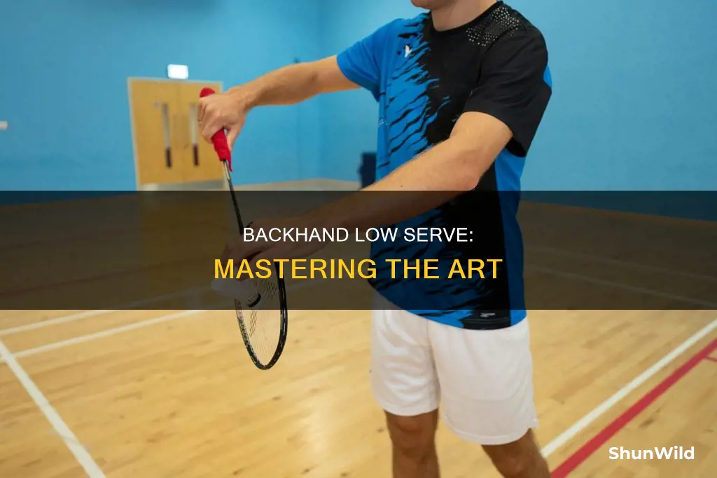 what is a backhand low serve in badminton