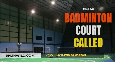Badminton Court Name and Dimensions Explained