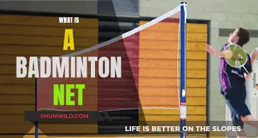 Badminton Net: Know the Basics