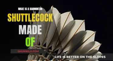 The Intricate Design of Shuttlecocks
