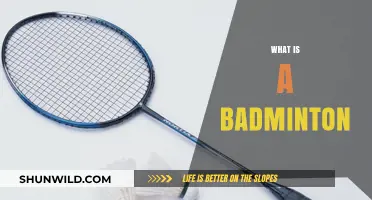 Badminton Basics: Rackets, Birdies, and Nets