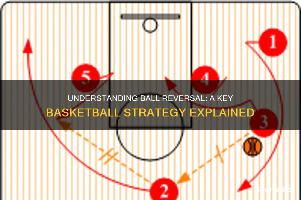 what is a ball reversal in basketball