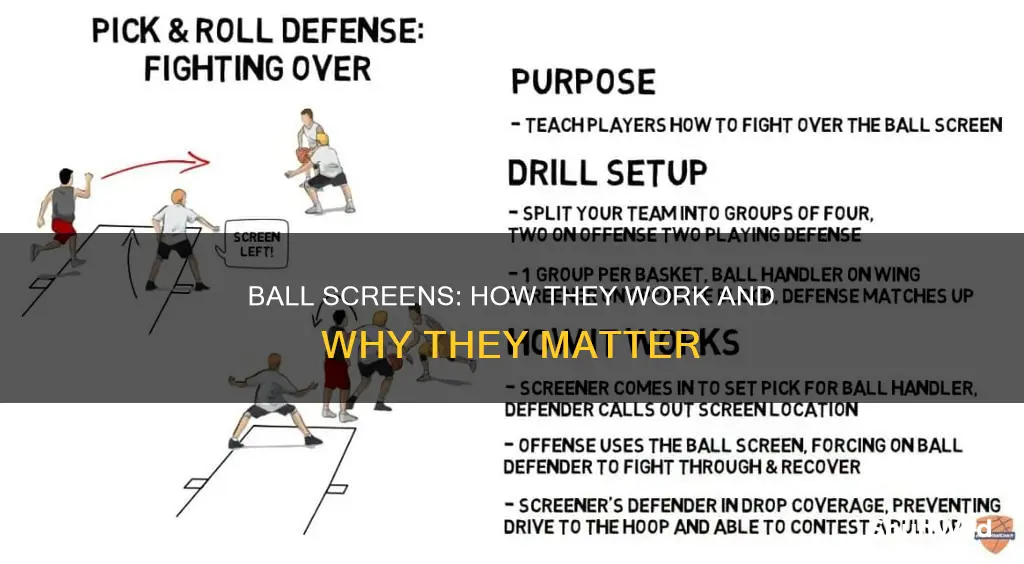 what is a ball screen in basketball