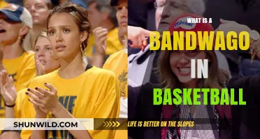 Understanding the Bandwagon Phenomenon in Basketball Fandom and Culture