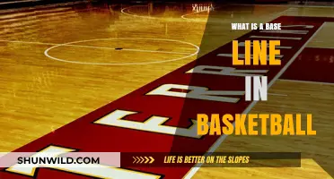 Understanding the Baseline: Key Role in Basketball Court Dynamics