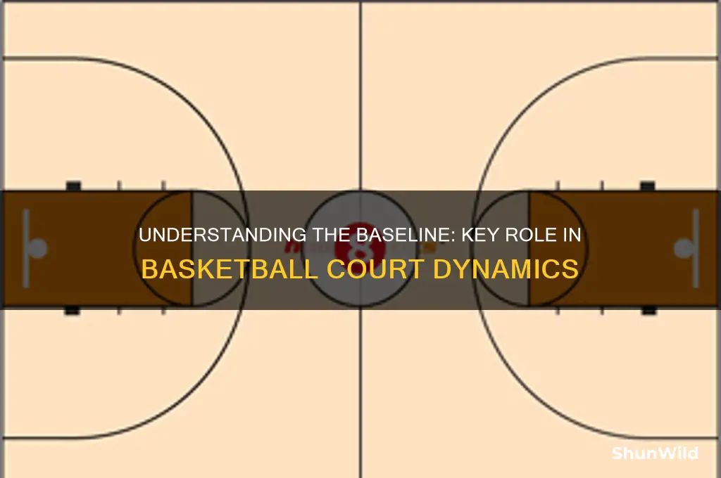 what is a base line in basketball
