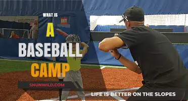 Exploring Baseball Camps: Skills, Fun, and Teamwork for Young Players