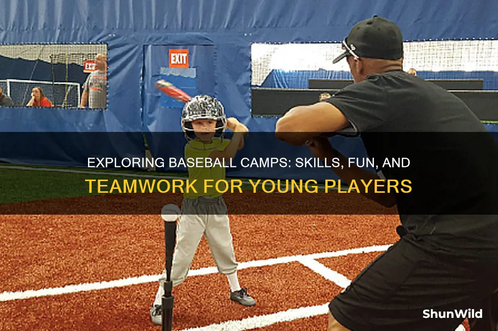 what is a baseball camp