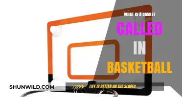 What's the Name of the Basketball Basket: A Quick Guide