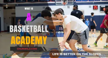 Exploring Basketball Academies: Training, Development, and Player Success