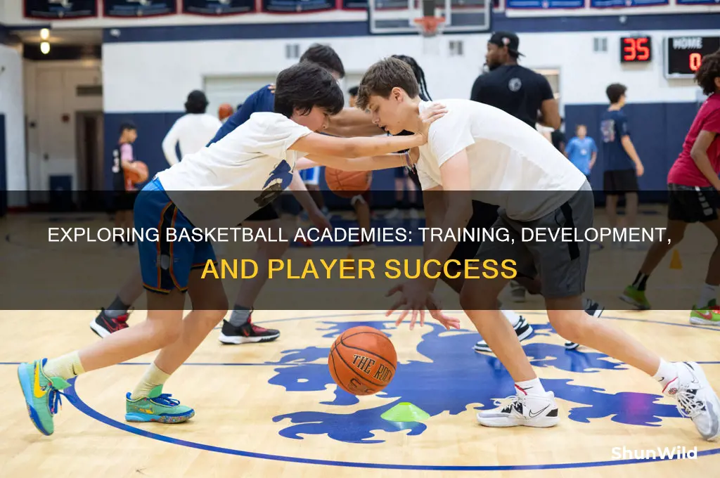 what is a basketball academy