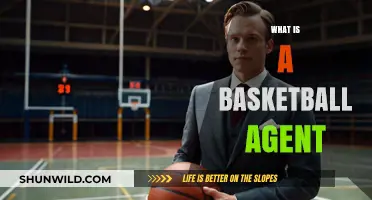 Understanding the Role of a Basketball Agent in Player Careers