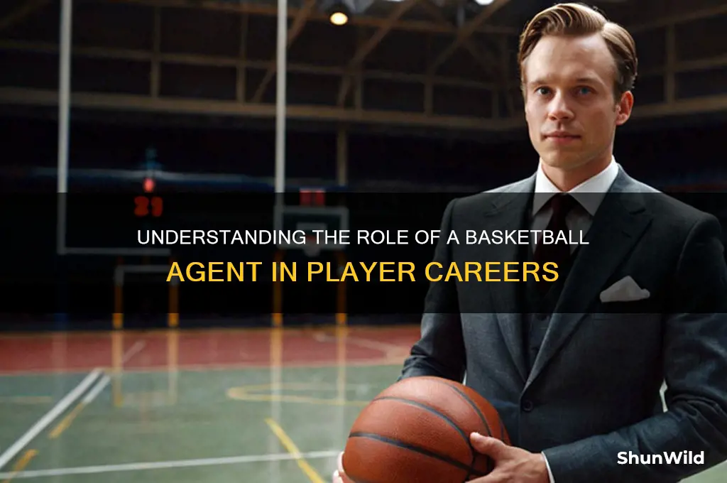 what is a basketball agent