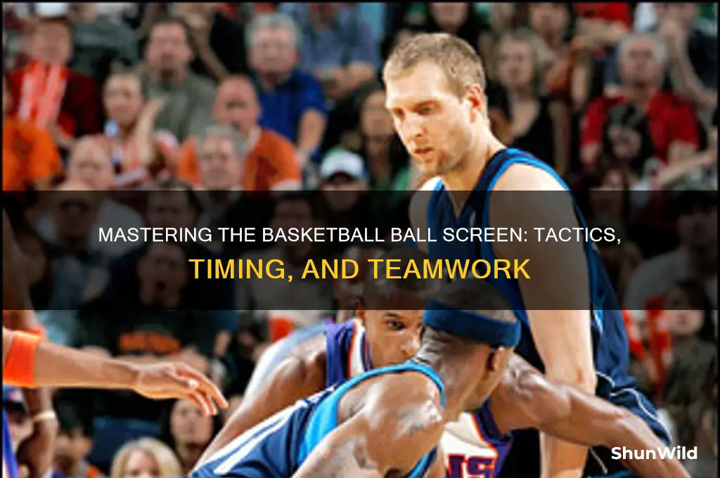 what is a basketball ball screen