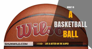 Understanding the Basics: What is a Basketball and Its Key Features