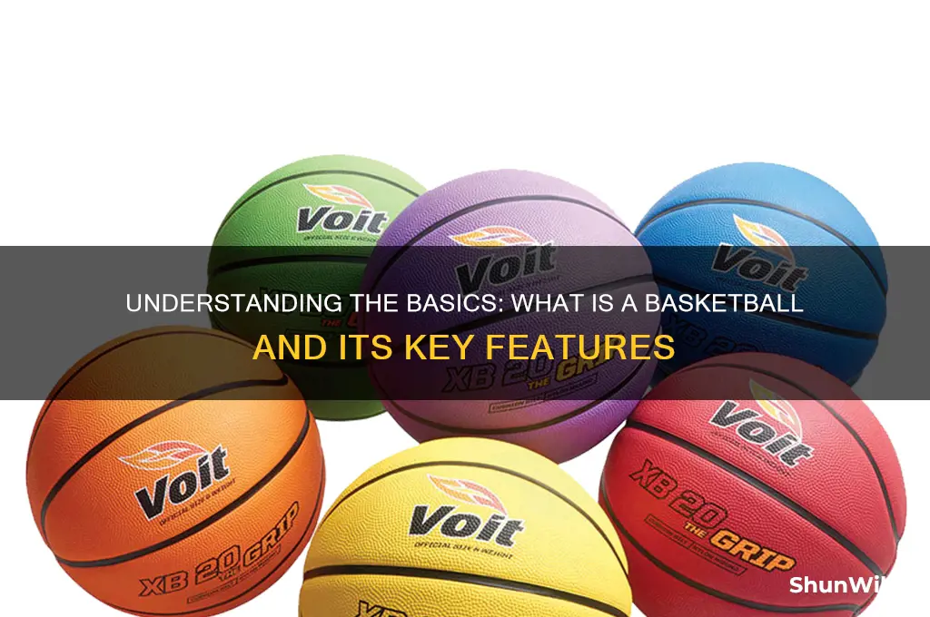 what is a basketball ball