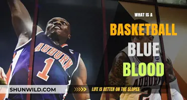 Understanding the Legacy of Basketball's Elite Blue Blood Programs
