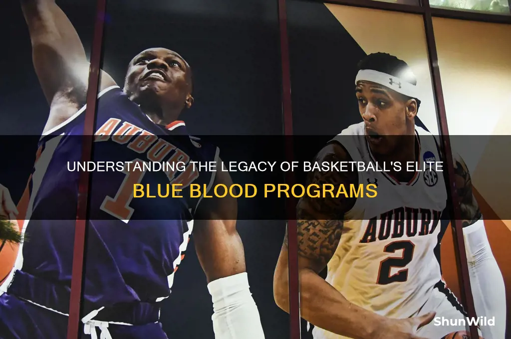 what is a basketball blue blood
