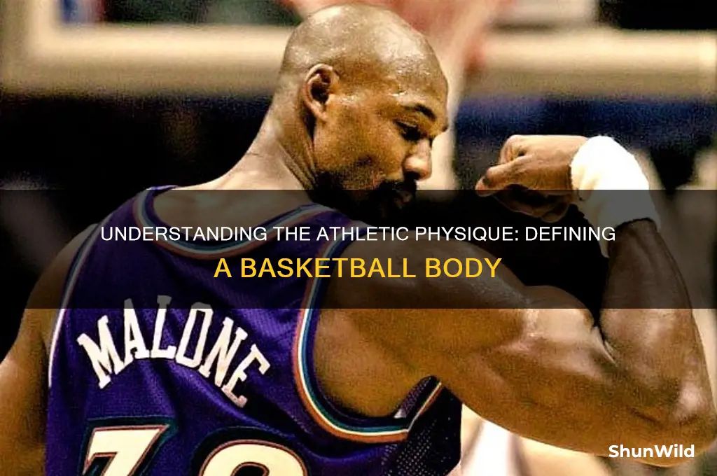 what is a basketball body